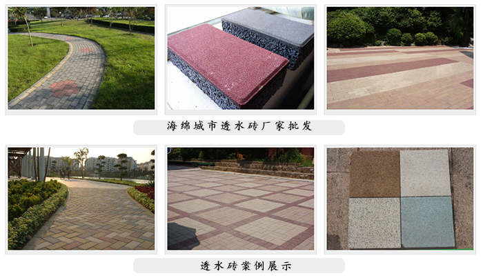 動(dòng)起來，共建“海綿城市”！